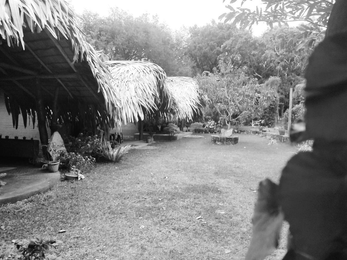 Hasthi Safari Cottage Udawalawe Buitenkant foto