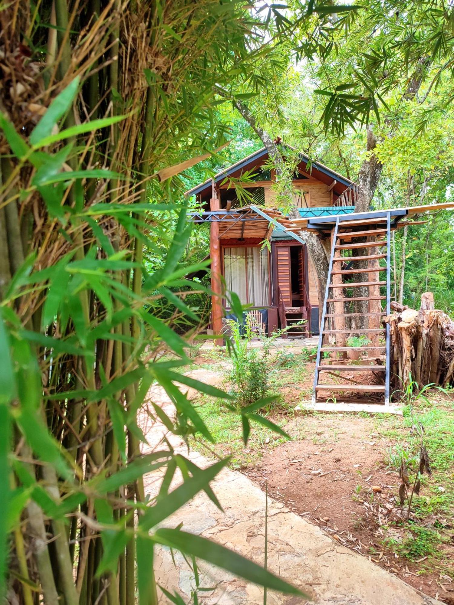 Hasthi Safari Cottage Udawalawe Buitenkant foto