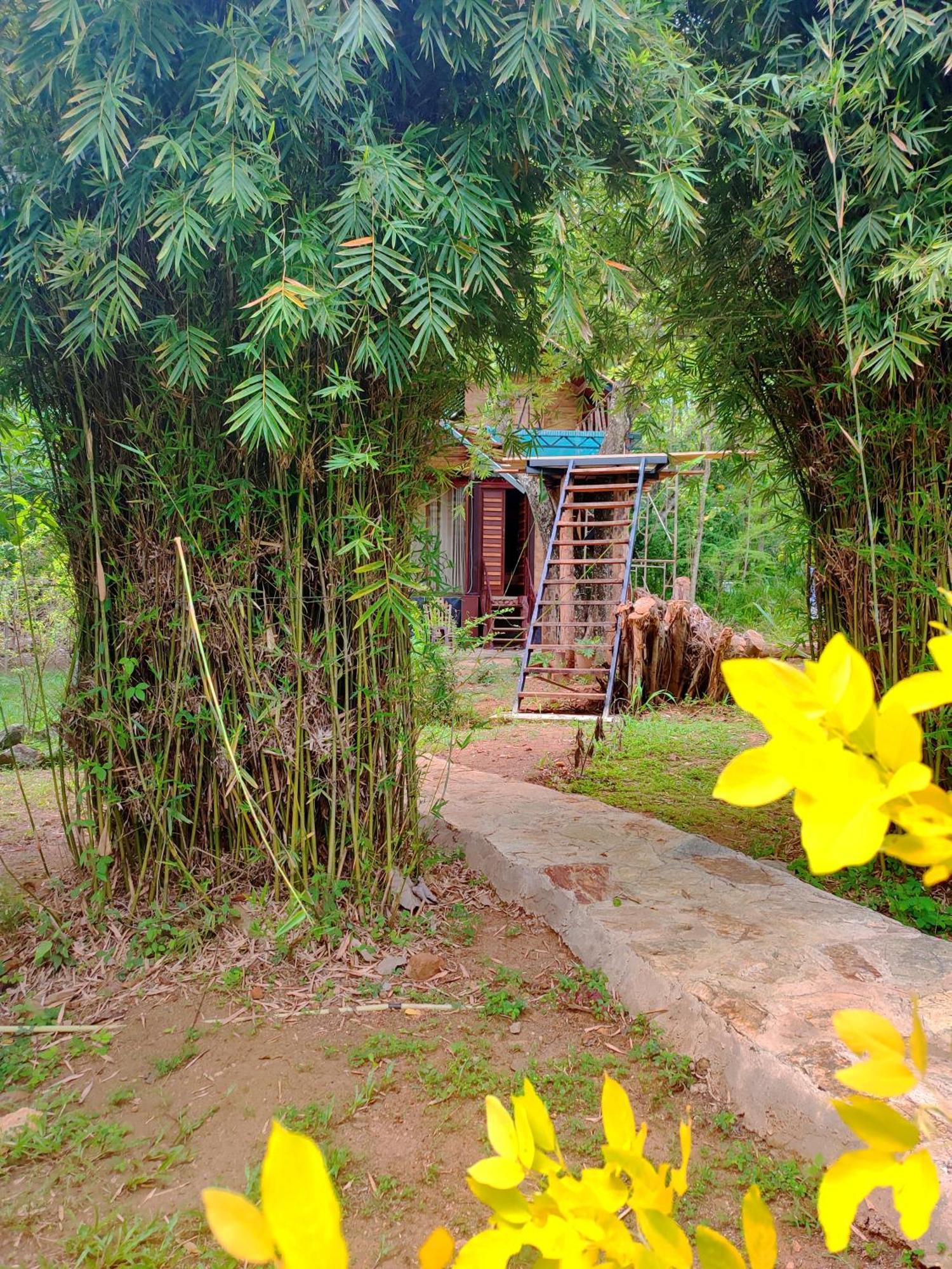 Hasthi Safari Cottage Udawalawe Buitenkant foto